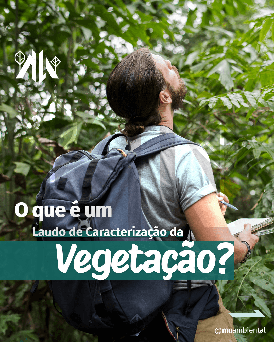 O que é o Laudo de Caracterização Vegetal?